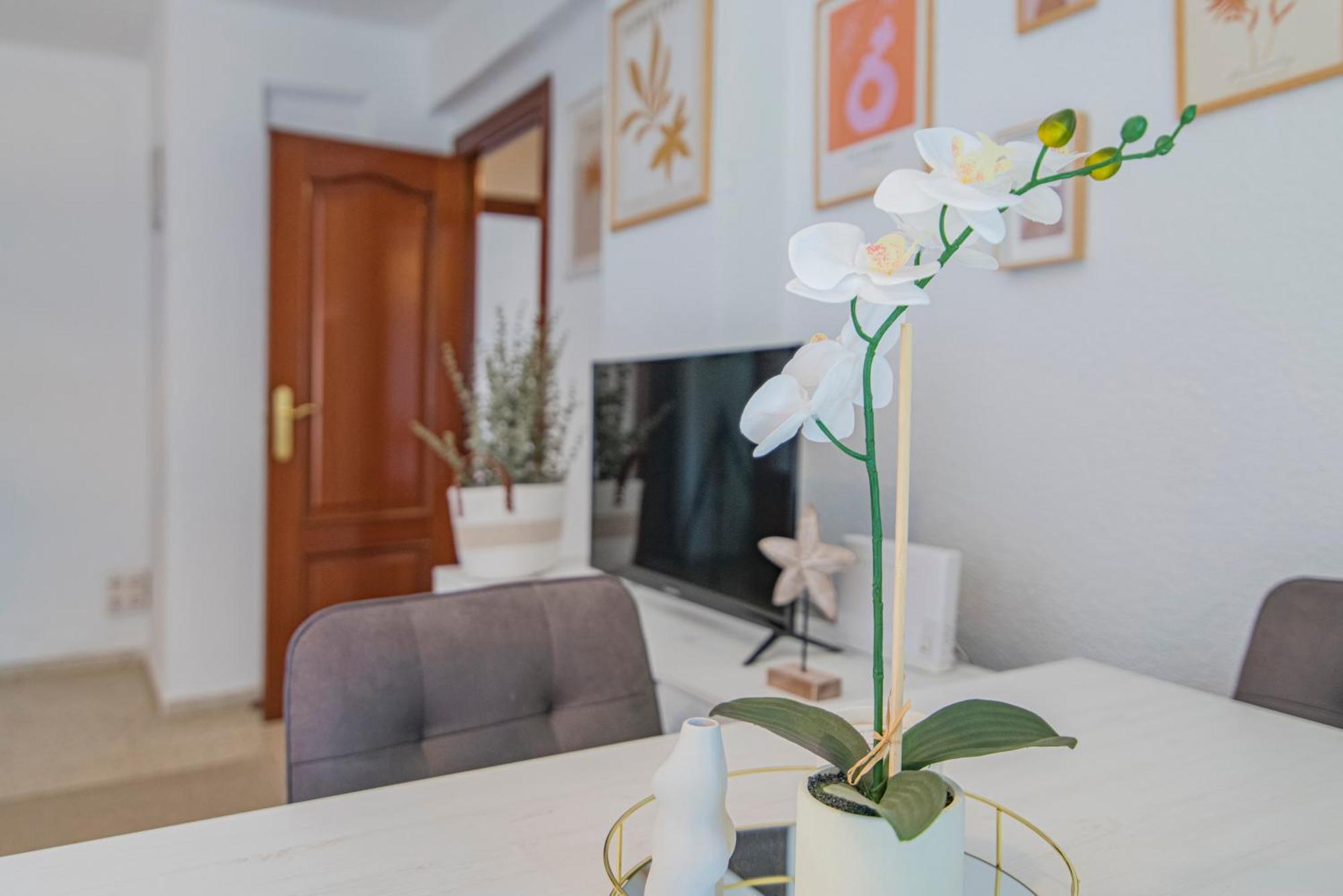 Delfin Retreat Con Terraza Junto A Parada De Metro Appartement *